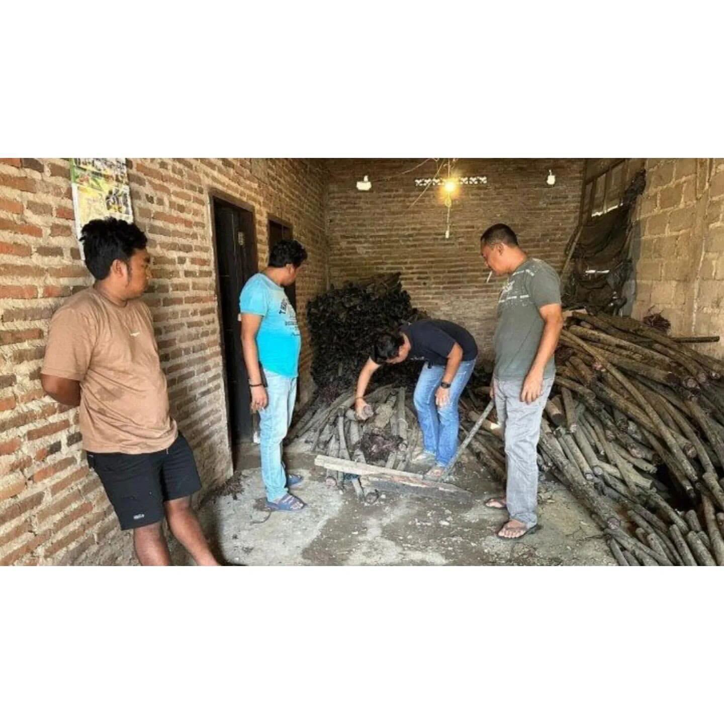 Viral 2 Pria Madura Mencuri Kabel Milik PT Telkom Sepanjang 2 KM Dipotong Jadi 450 Bagian