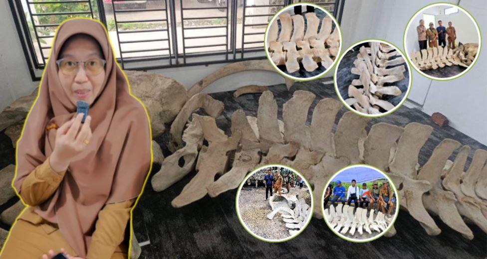 20251112-Penemuan-tulang-raksasa-di-Tanjabbar-Jambi-viral-diyakini-ikan-paus.jpg