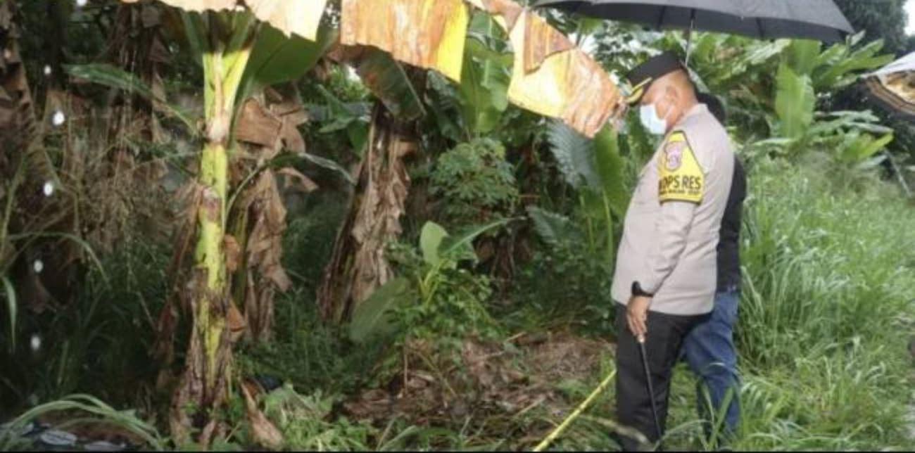20251121-Penemuan-mayat-membusuk-di-batang-pisang.jpg