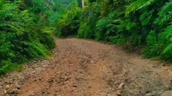 20260123-Jalan-rusak-di-Jambi-viral.jpg