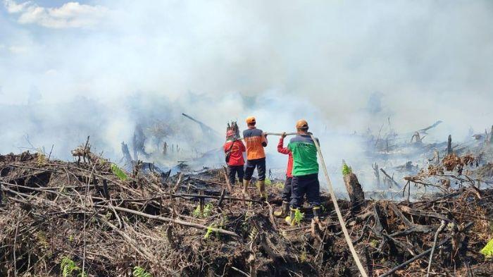 Mitigasi Bencana Karhutla, Pemrpov Jambi Siapkan 2 Skema Utama