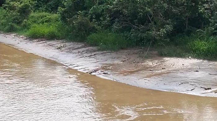 20260424-Satu-diantara-sungai-di-Merangin-Jambi.jpg
