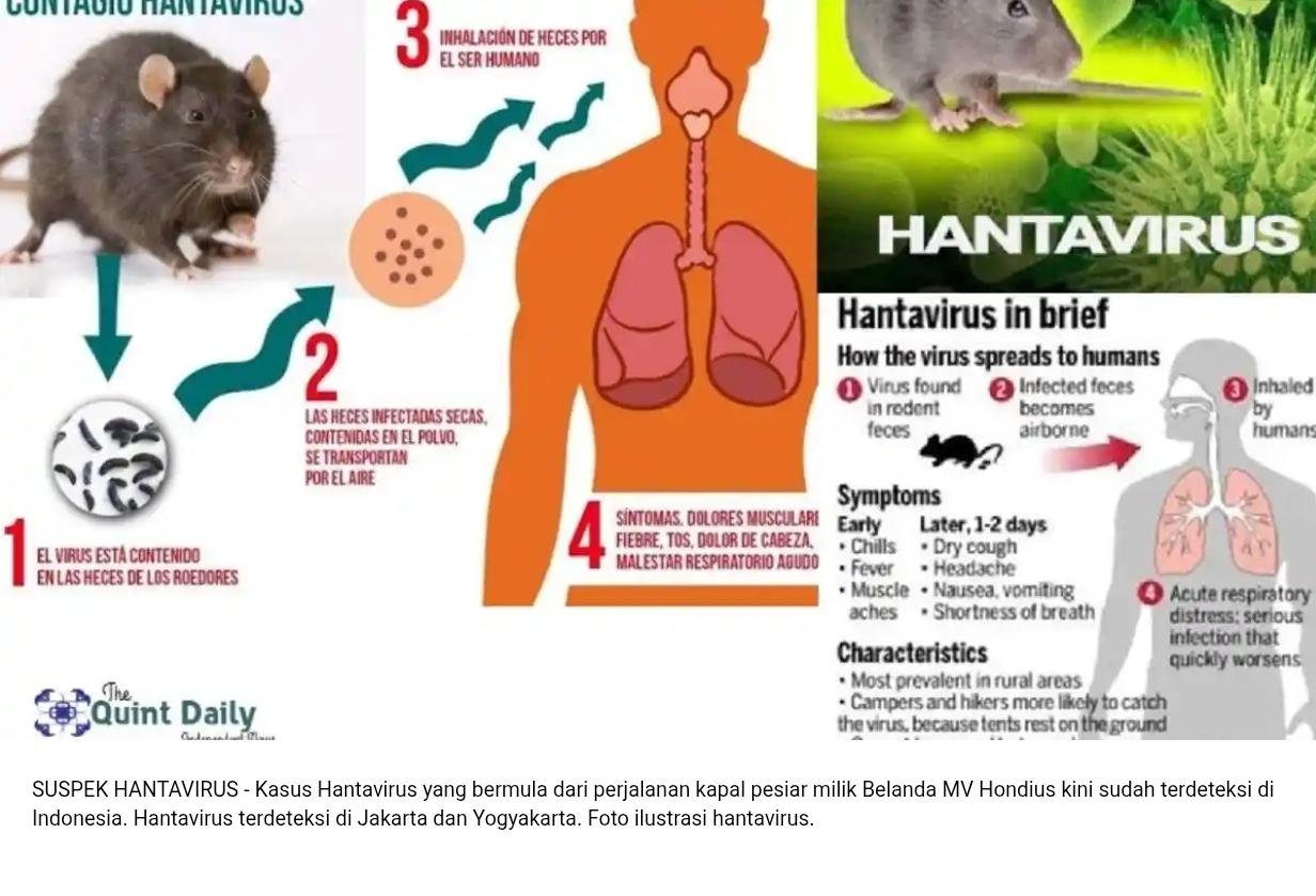 20260508-Kasus-Hantavirus.jpg