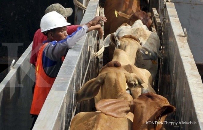 Puluhan Peternak Sapi Dijatuhi Sanksi Kartel