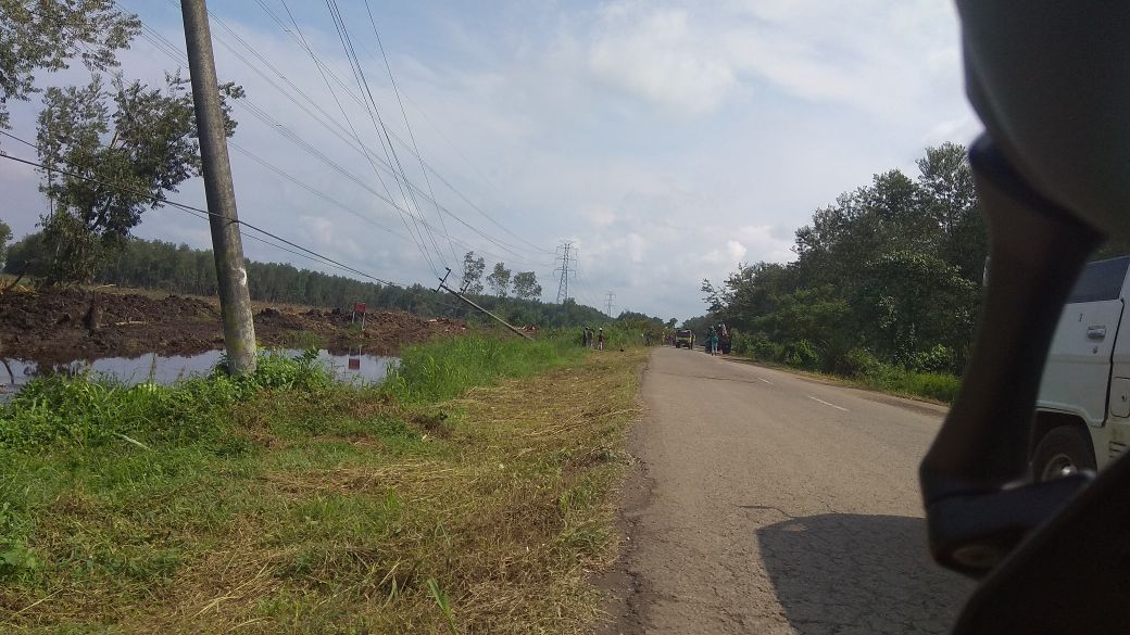 Sejumlah Tiang Listrik Roboh di Area Perkebunan WKS, PLN Pastikan Tidak Ada Pemadaman