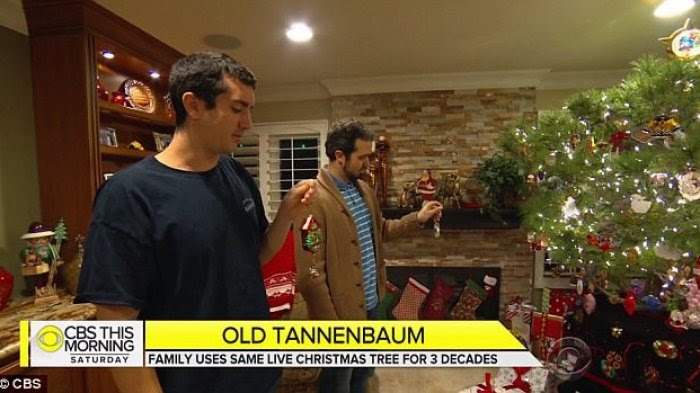 UNIK - Keluarga Ini Berhasil Pertahankan Pohon Natal Mereka Tetap Hidup Selama 34 Tahun
