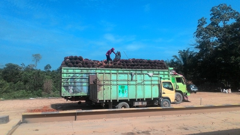 1000 Karcis Perhari untuk Truk Bermuatan, Batanghari Optimis Target PAD Retribusi Terminal Tercapai