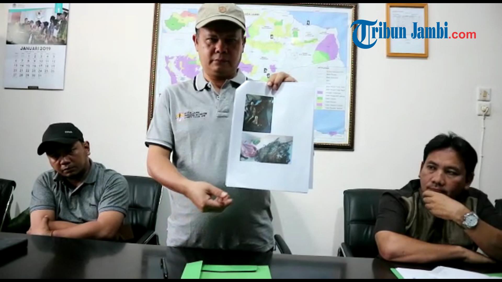 Terungkap Ini Penyebab Kematian Singa dan Harimau di Taman Rimba, Begini Penjelasan Dokter