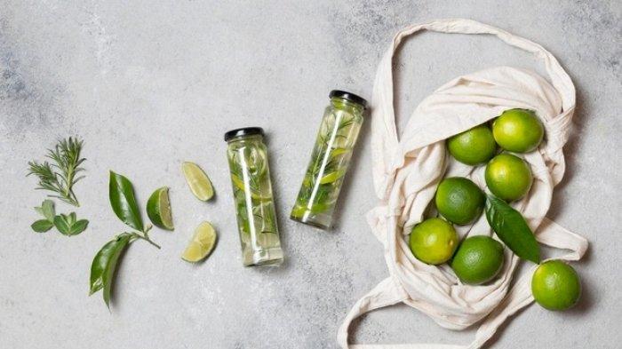 Cara Menanam Jeruk Nipis agar Berbuah Lebat, Pemupukan Dilakukan Dua Kali