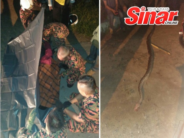 NEKAT! Pria Ini Tenteng Ular Piton Sambil Kendarai Motor, Ular Meronta Lalu Lilit Lehernya