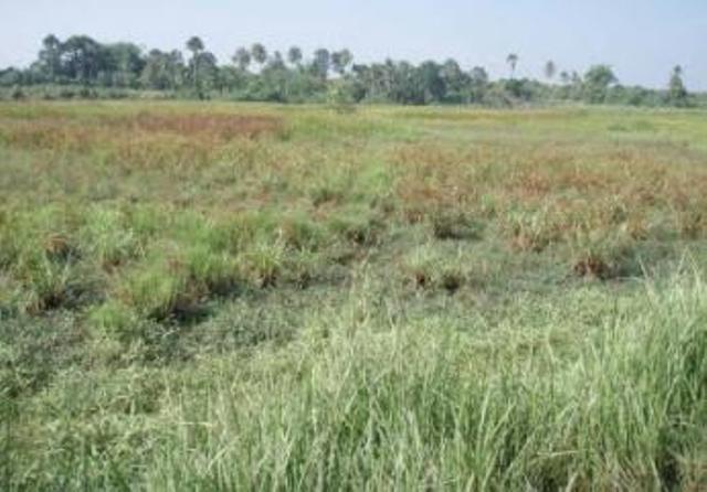 Pajak Progresif Tanah Nganggur Belum Prioritas