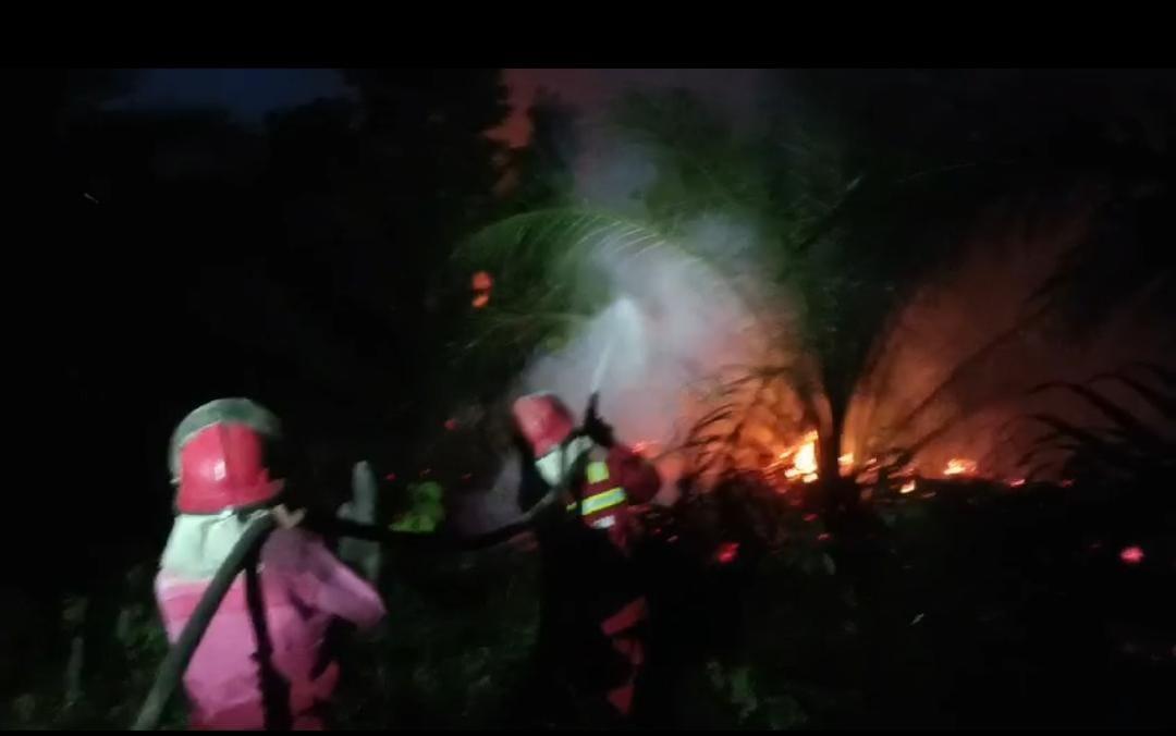 3-hektare-lahan-sawit-milik-masyarakat-di-Kabupaten-Sarolangun-terbakar-Sabtu-24824.jpg