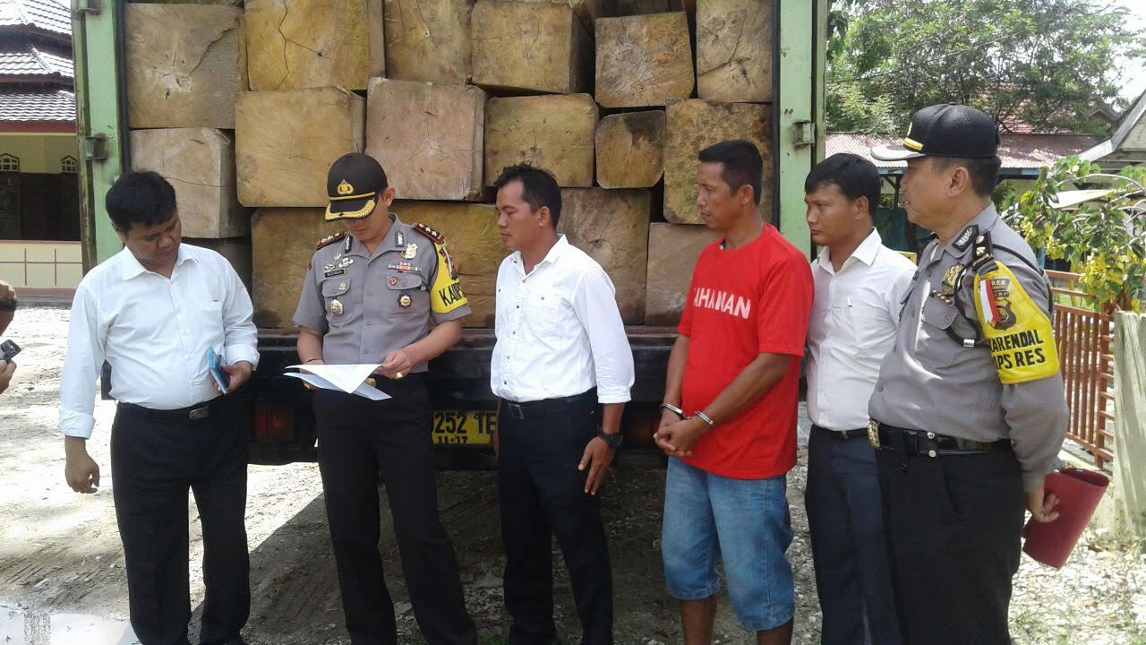 Kadus Terlibat Ilegal Logging, Diamankan Saat Bawa Kayu Keluar