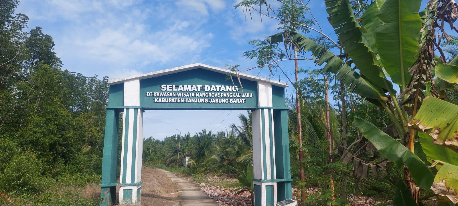 Wisata Mangrove Pangkal Babu Terus Dikembangkan, Penggerak Ekonomi Warga - Tribunjambi.com