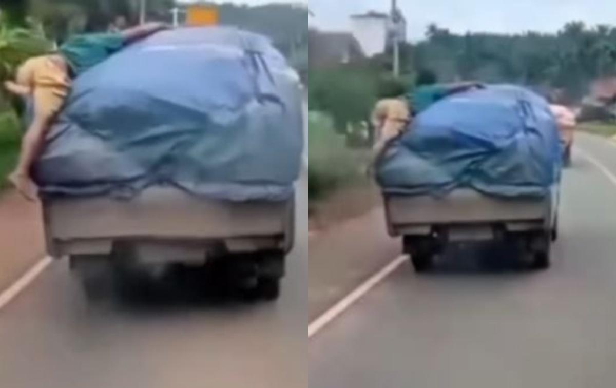 Video Bajing Loncat Tersangkut di Atas Mobil di Jambi Viral di Sosmed, Warganet: Bawa ke Polres Bang