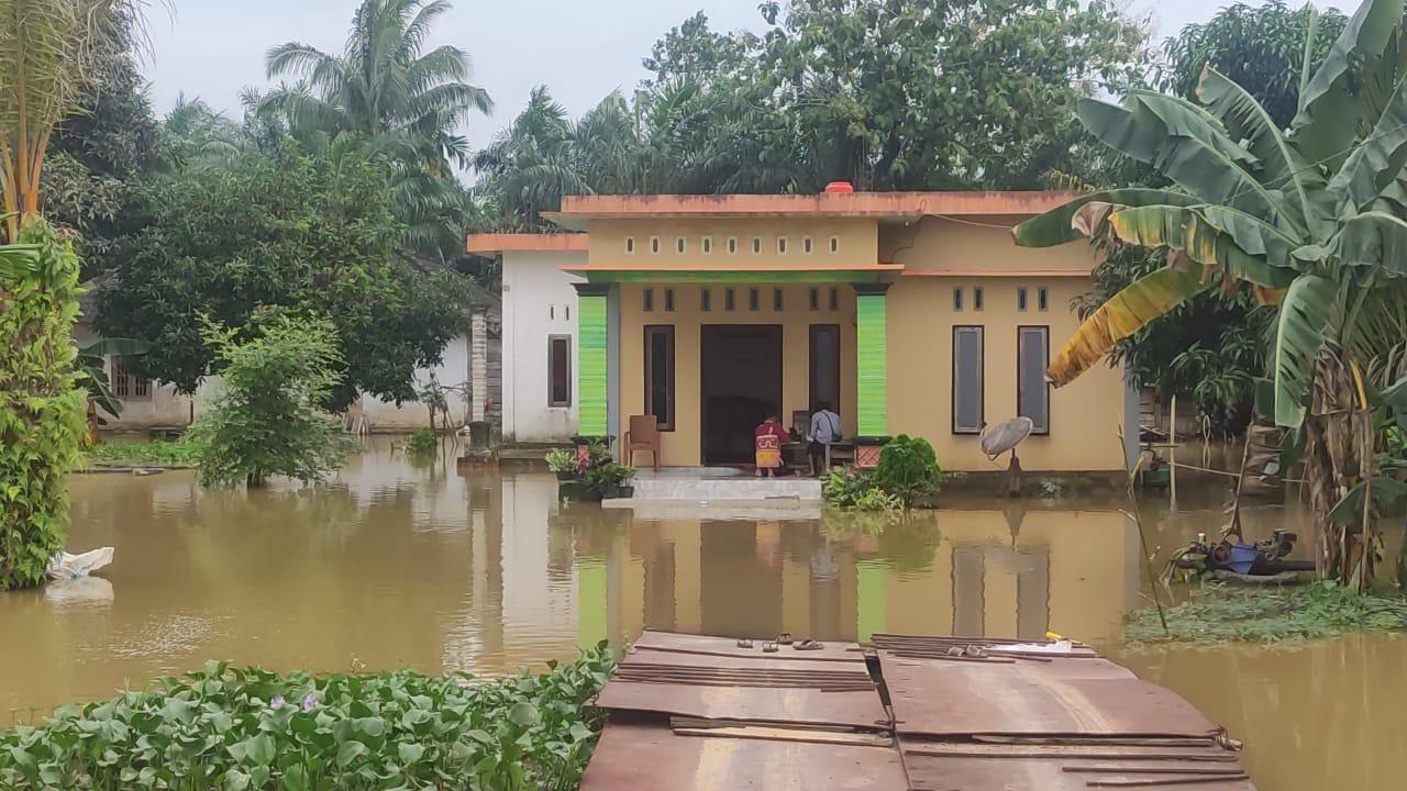 Belasan KK di Rantau Makmur Terdampak Banjir, Mengungsi di Kantor Desa hingga Rumah Saudara