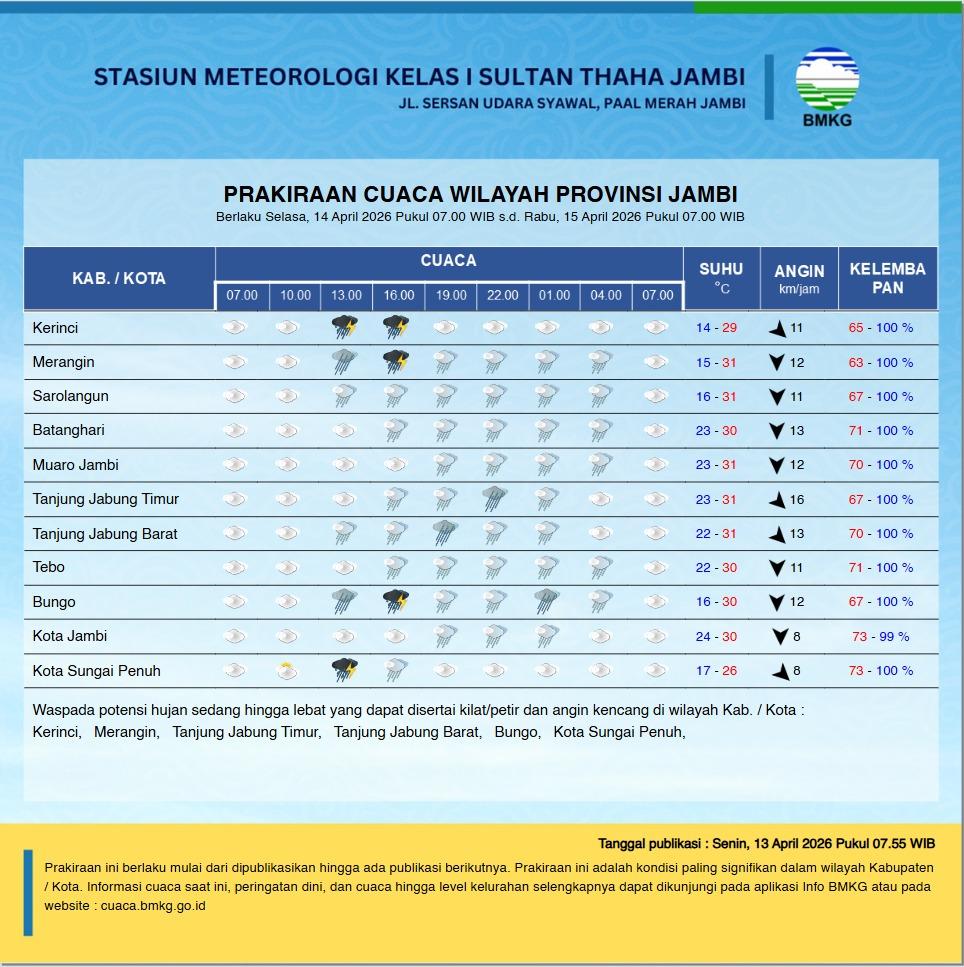 Tribun