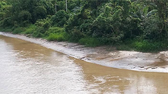 Buaya-di-Sungai-Batang-Seringat.jpg