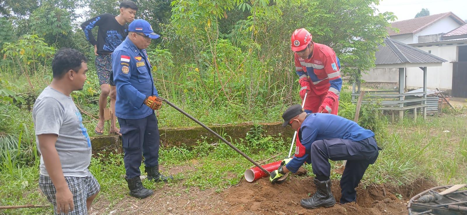 Bongkar Sarang Kobra di Kenali Asam Kota Jambi, Temukan Induk dan 8 Telur - Tribunjambi.com