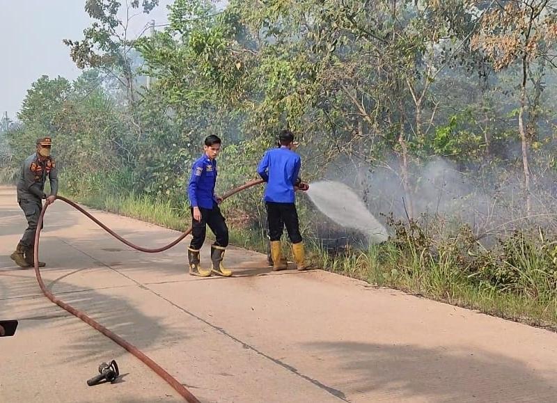 Dua-Hektare-Lahan-Sawit-Warga-di-Desa-Bukit-Baling-Muaro-jambi-Terbakar.jpg
