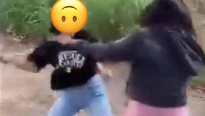 Viral Dua Wanita Duel Berdarah Pakai Sajam, Sejumlah Orang Hanya Menonton dan Merekam