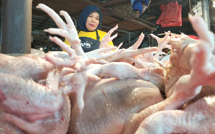 Eva-pedagang-Daging-Ayam-Broiler.jpg