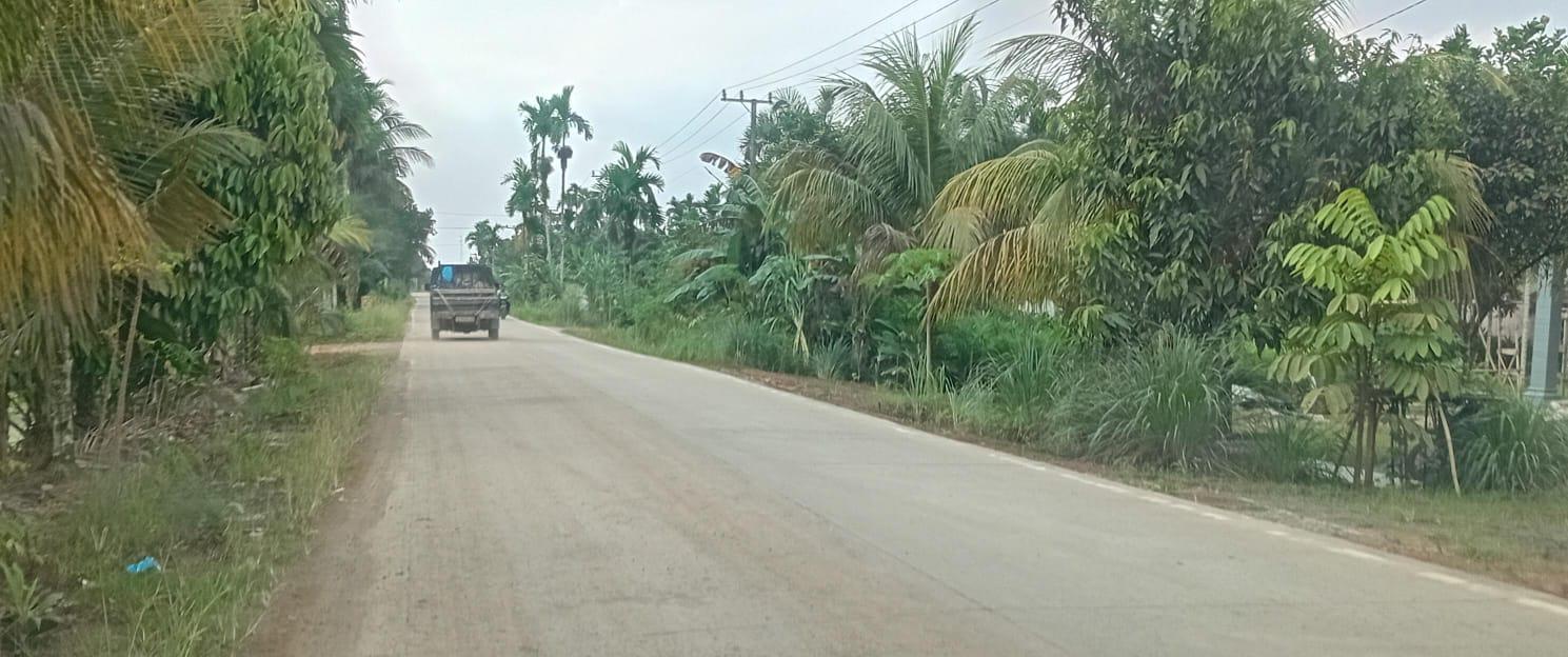 Jalan Beton 1,96 Km di Geragai: Wujud Nyata Infrastruktur Berkualitas dari SKK Migas–PetroChina - Tribunjambi.com