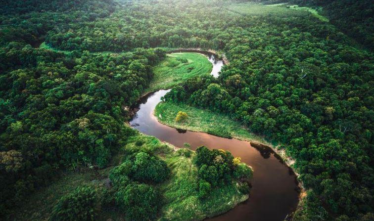 Hutan Amazon Dihujani Bintang 1 Sama Warganet Indo: Tempat Berbahaya di Dunia, Jangan ke Sini