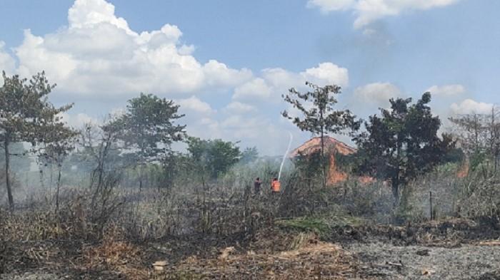 Satu Rumah Nyaris Terbakar 'Dihantam' Karhutla di Kota Jambi, Petugas Pemadam Kebakaran Gerak Cepat