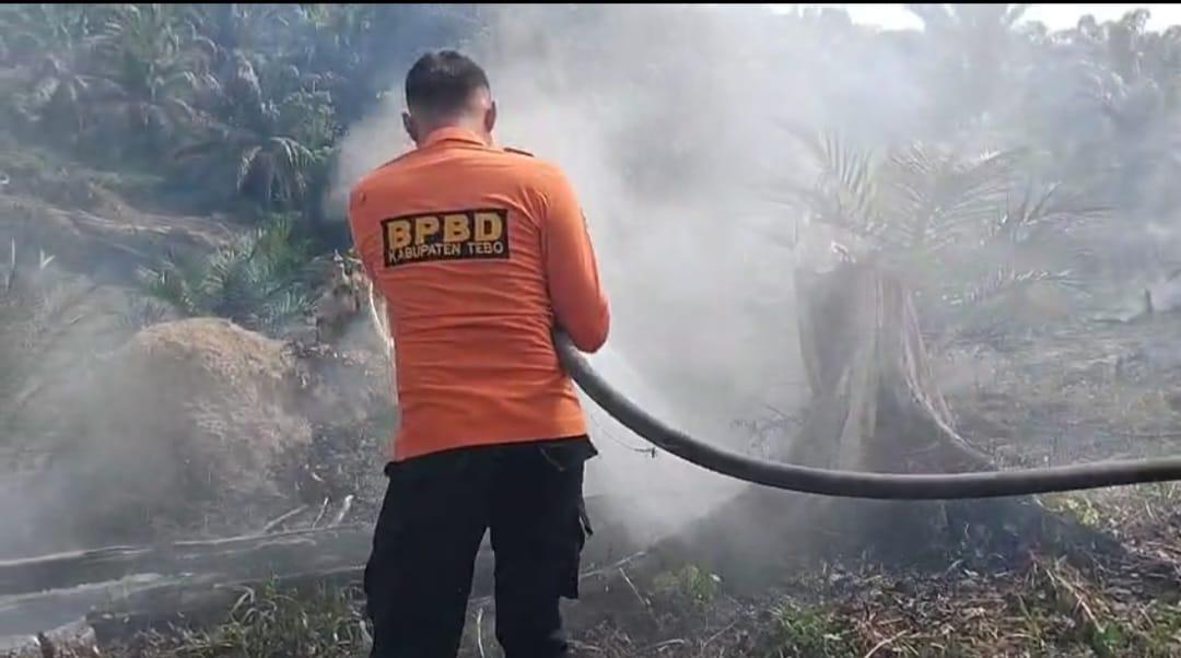 Jumlah-kasus-kebakaran-hutan-dan-lahan.jpg