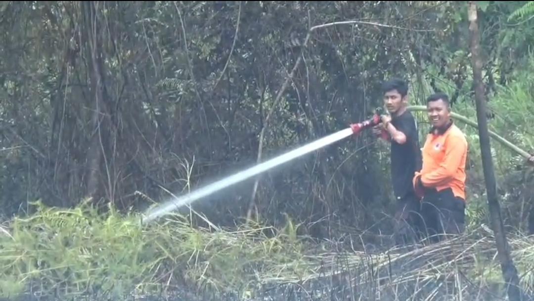 Karhutla di Muaro Jambi Meluas, BPBD Catat Lahan Terbakar Capai 8 Hektare - Tribunjambi.com