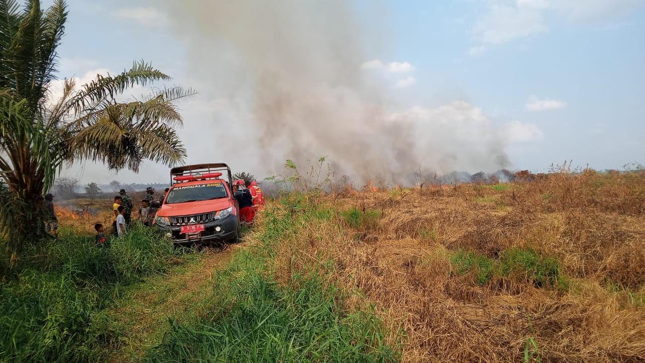 Lahan di Talang Duku Muaro Jambi Kebakaran Lagi, Petugas Damkar Kesulitan Padamkan Api