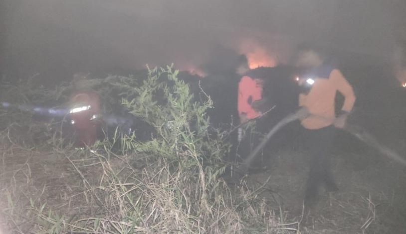 BPBD Muaro Jambi Turunkan Kekuatan Penuh Padamkan Api di 3 Lokasi
