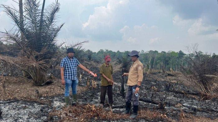 Berkas Satu Tersangka Pembakar Lahan di Tebo Telah Diserahkan ke Jaksa