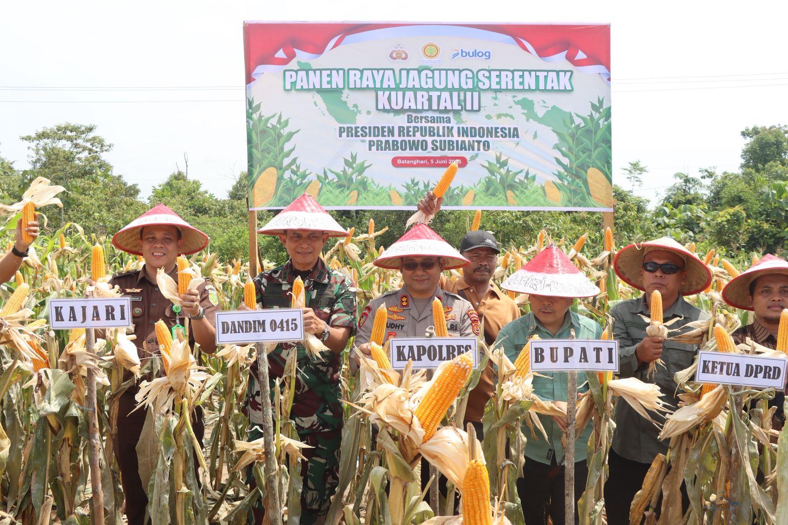 Kelompok Tani di Batang Hari Jambi Panen 20 Ton Jagung