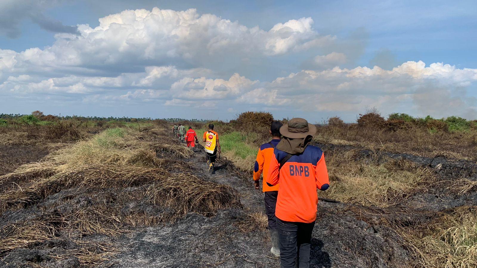 Api Berkobar di Desa Talang Duku Muarojambi, Karhutla Hanguskan 20 Hektare Lahan