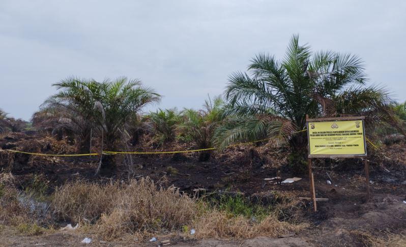 Lokasi Kebakaran di Lahan PT Indonusa Tanjabtim Jauh dari Pemukiman Warga