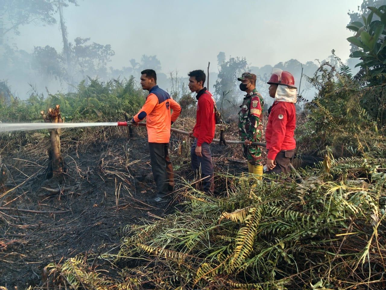 Lahan-di-Kampung-Tengah-Tanjabbar-Terbakar-Satu-Unit-Helikopter-Water-Bombing-Dikerahkan.jpg