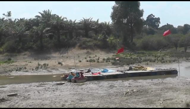 Dampak Kemarau, Objek Wisata Danau Tangkas Muaro Jambi Mengering