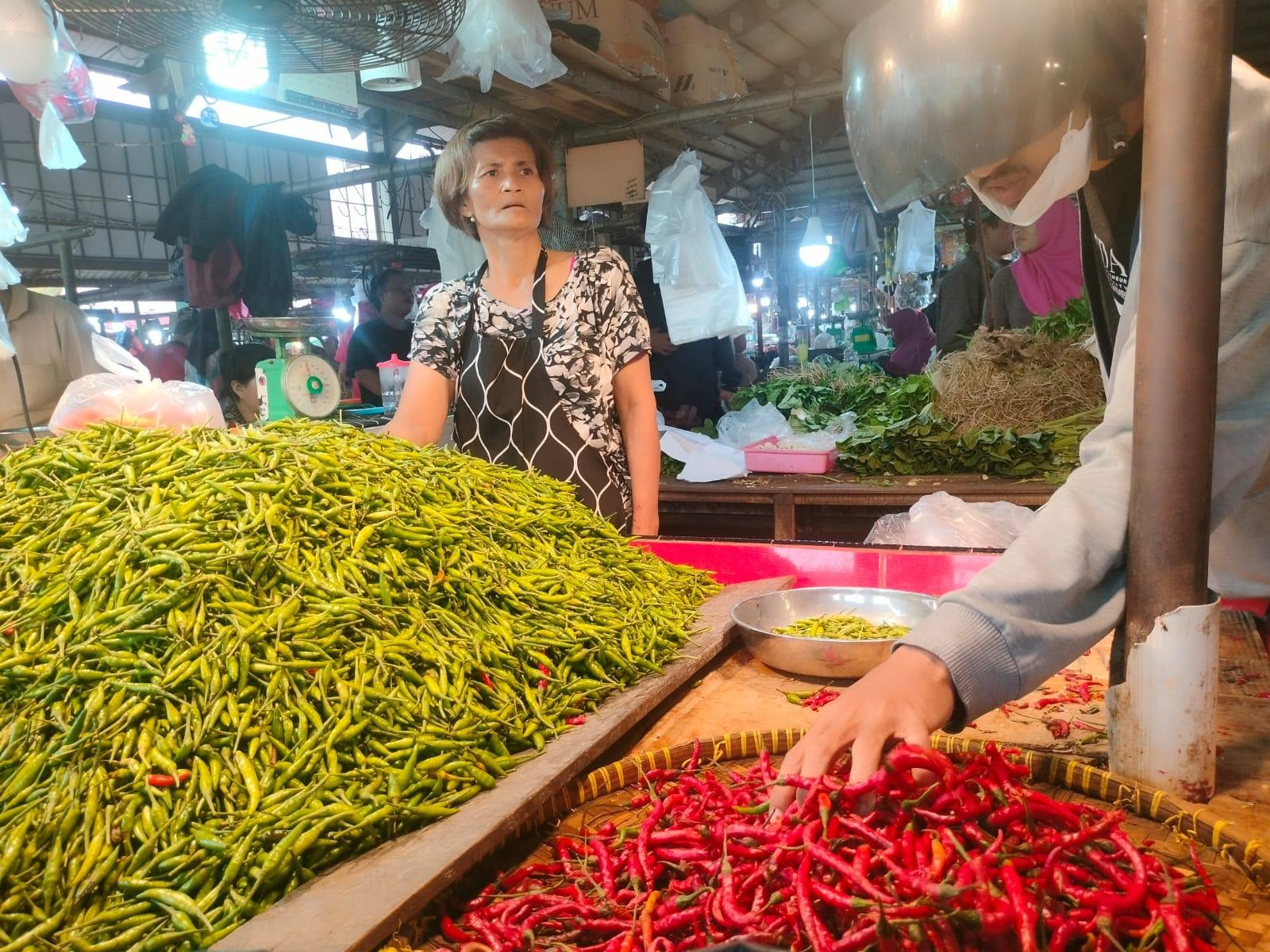 Komoditi Cabai Lokal Mulai Masuk ke Pasar, Dinas TPHP Jambi Harap Mampu Stabilkan Harga
