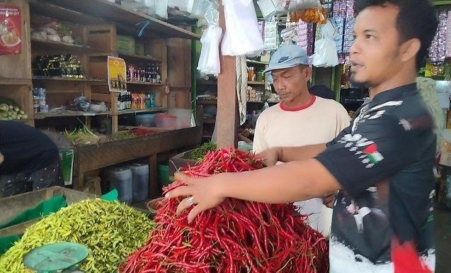 Awal Tahun 2025, Harga Cabai Merah di Sarolangun Masih Stabil Rp 36 Ribu Per Kg