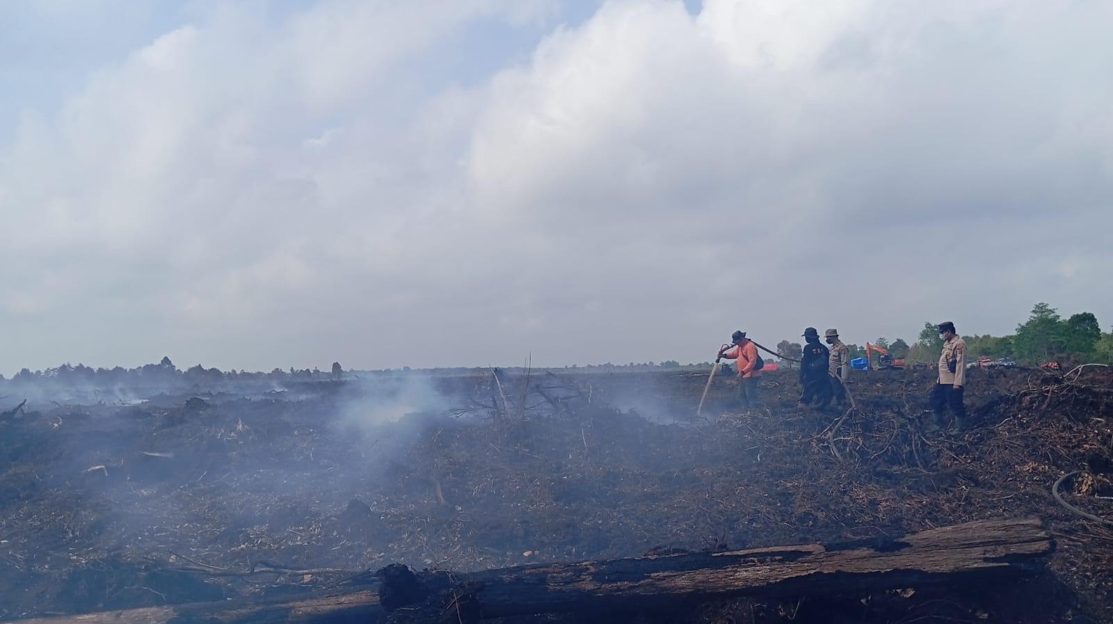 Pelaku-Karhutla-di-Desa-Gambut-Jaya-Muaro-Jambi-Belum-Tertangkap.jpg