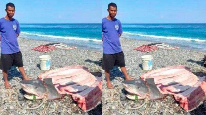Potongan-Lengan-Wanita-Ditemukan-dalam-Perut-Hiu.jpg