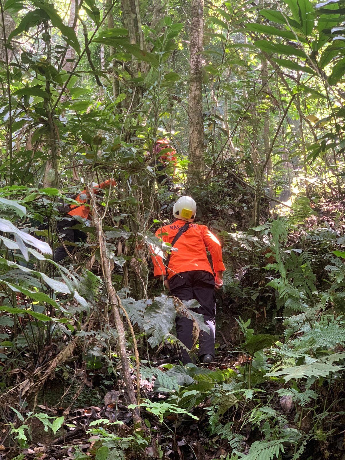 Tim-SAR-gabungan-mencari-dua-warga-yang-dilaporkan-hilang-di-hutan-saat-mencari-kayu-bakar.jpg