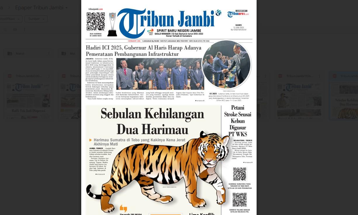 Sebulan Jambi Kehilangan Dua Harimau, Si Loreng di Tebo Akhirnya Mati, 5 Konflik Dalam 6 Bulan