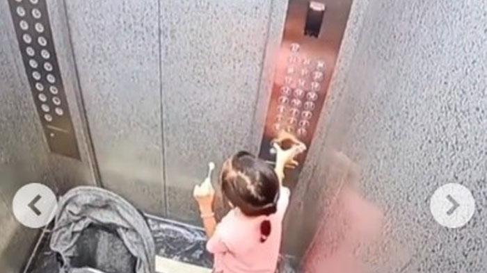 Viral Anak-anak Ketinggalan di Lift, Netizen Geram Si Ibu Masih Bisa Ketawa