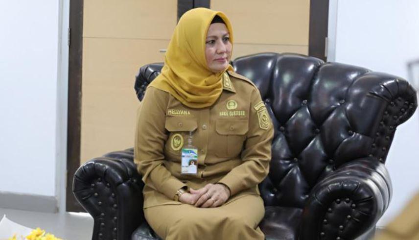 Wakil-Gubernur-Kepulauan-Bangka-Belitung-Babel-Hellyana.jpg