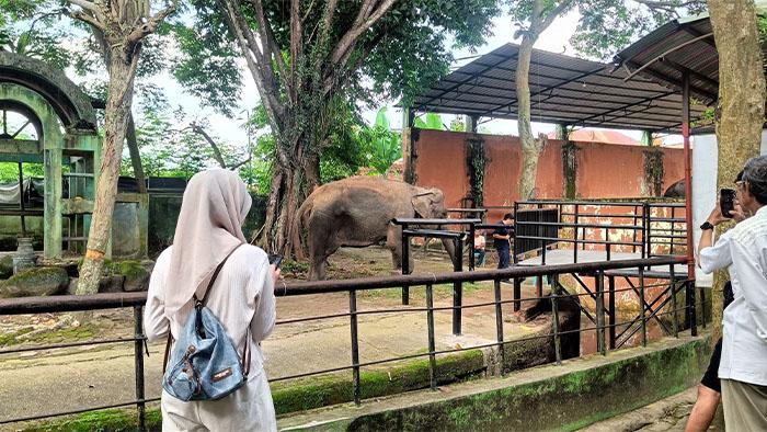 Wisata-Taman-Rimba-11.jpg