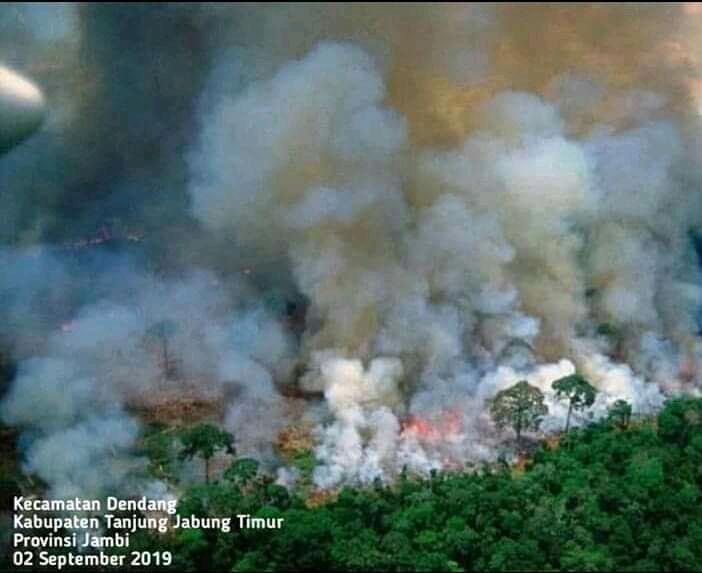Api Mulai Dekati Pemukiman Warga Desa Baku Tuo, 255 H Lahan Terbakar di Kecamatan Sadu, Tanjab Timur