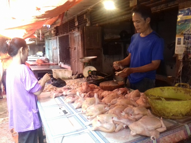Harga Ayam di Tebo Turun Rp 37 Ribu per Kg, Teryata Ini Penyebabnya